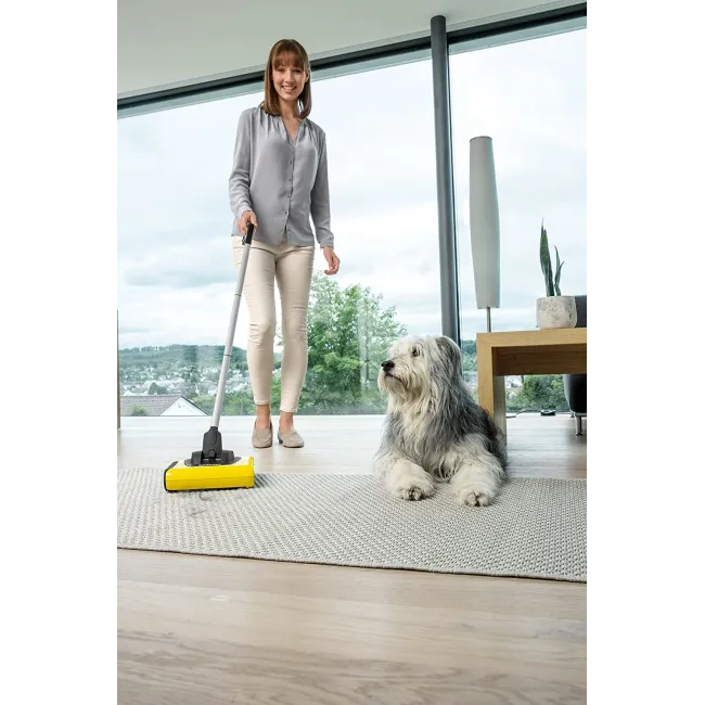 BALAI ELECTRIQUE KARCHER