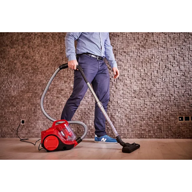 ASPIRATEUR SANS SAC RO2913EA ROWENTA