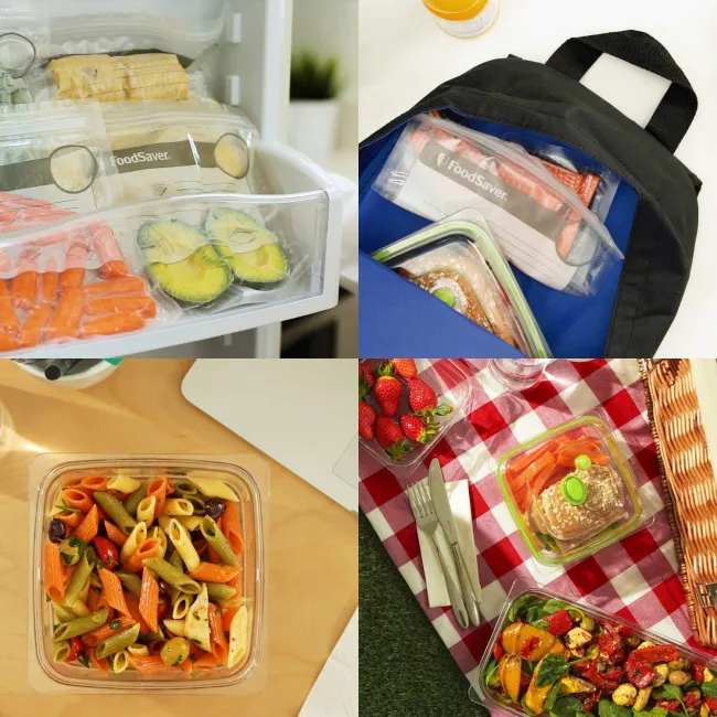 APPAREIL DE MISE SOUS VIDE POUR CONSERVATION ALIMENTAIRE Food Saver