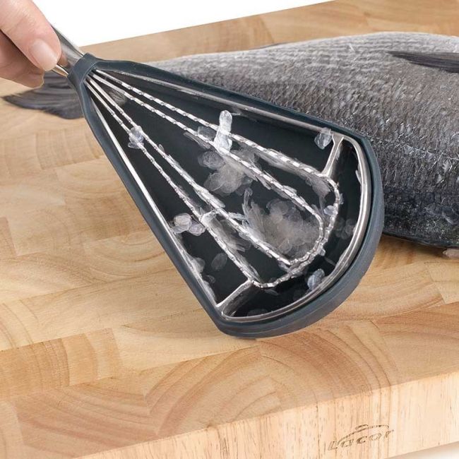 GRATTOIR DE POISSONS EN SILICONE 27 CM LACOR