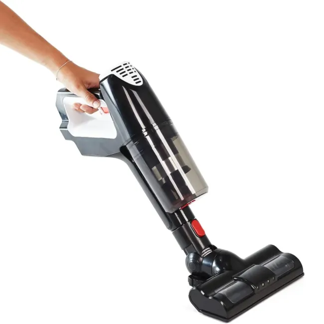 ASPIRATEUR SANS FIL 22.V FLEXIBLE ET PLIABLE TECHWOOD