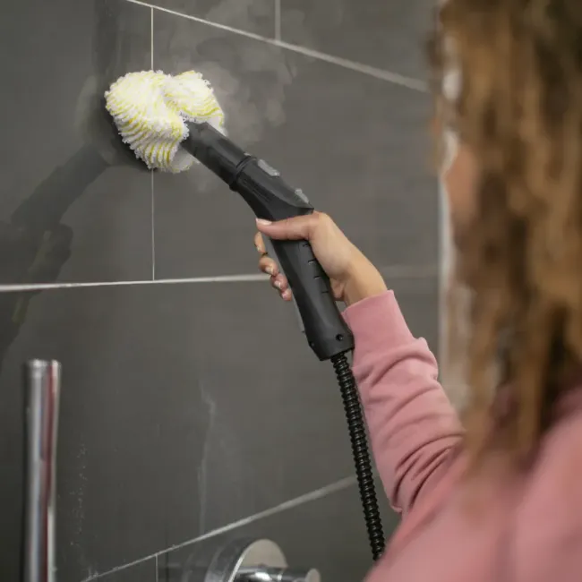 NETTOYEUR VAPEUR EASYFIX KARCHER