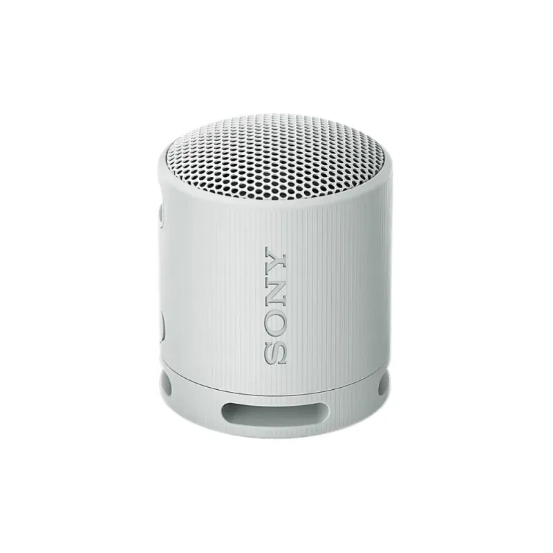 ENCEINTE PORTABLE WIRELESS GRIS SONY