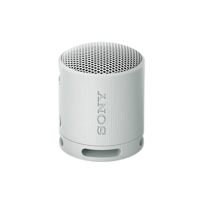 ENCEINTE PORTABLE WIRELESS GRIS SONY