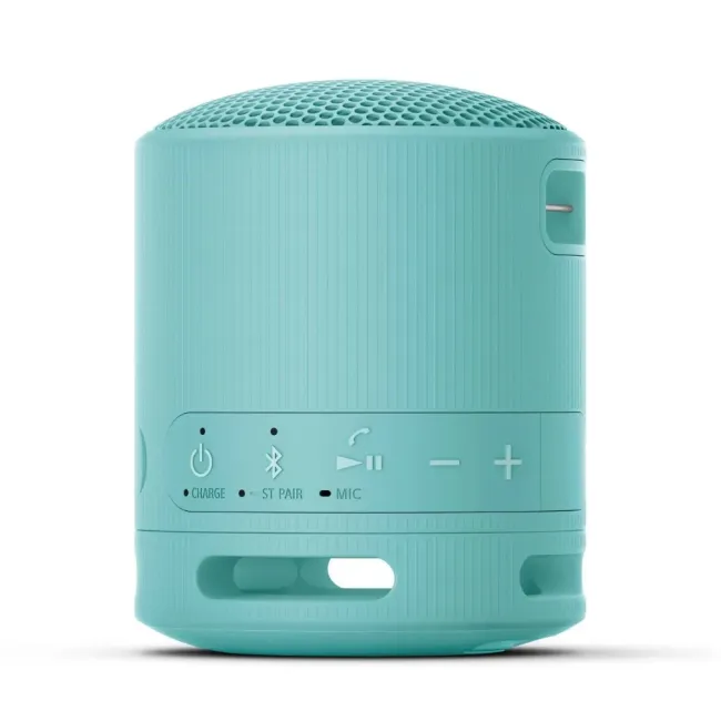 ENCEINTE PORTABLE WIRELESS BLEU SONY