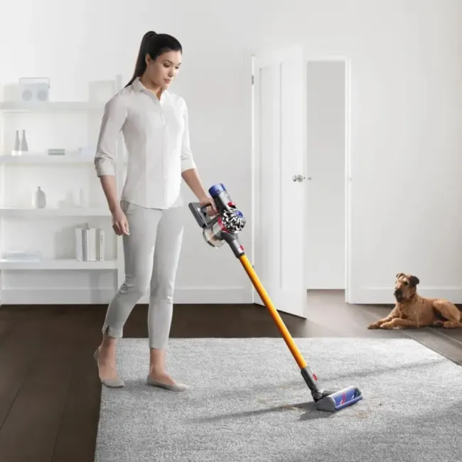 ASPIRATEUR V8 ABSOLUTE DYSON