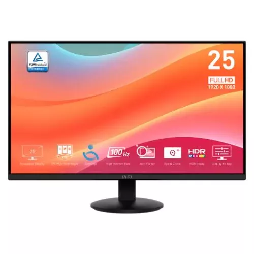ECRAN MONITOR PRO 24.5'' 100Hz MSI