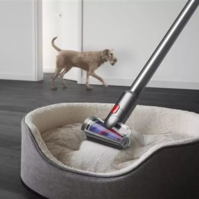 ASPIRATEUR BALAI V12 SLIM ABSOLUTE DYSON