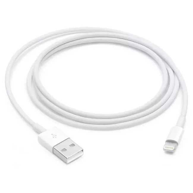 CABLE LIGHTNING VERS USB 1M APPLE
