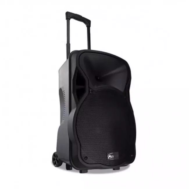 HAUT PARLEUR SONO PORTABLE RECHARGEABLE USB SD FM DIGITAL
