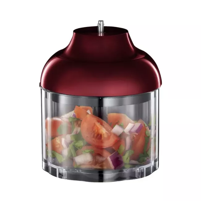 MIXEUR PLONGEANT AVEC PIED / FOUET /MINI HACHOIR INOX RUSSELL HOBBS