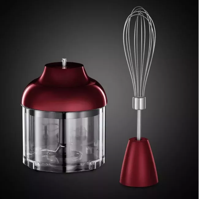 MIXEUR PLONGEANT AVEC PIED / FOUET /MINI HACHOIR INOX RUSSELL HOBBS