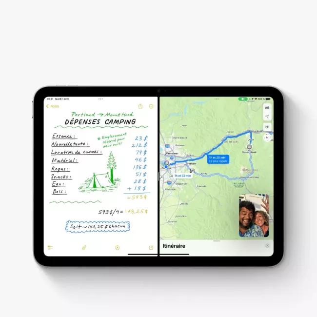 iPad Wi-Fi + Cellular 256GB BLUE APPLE
