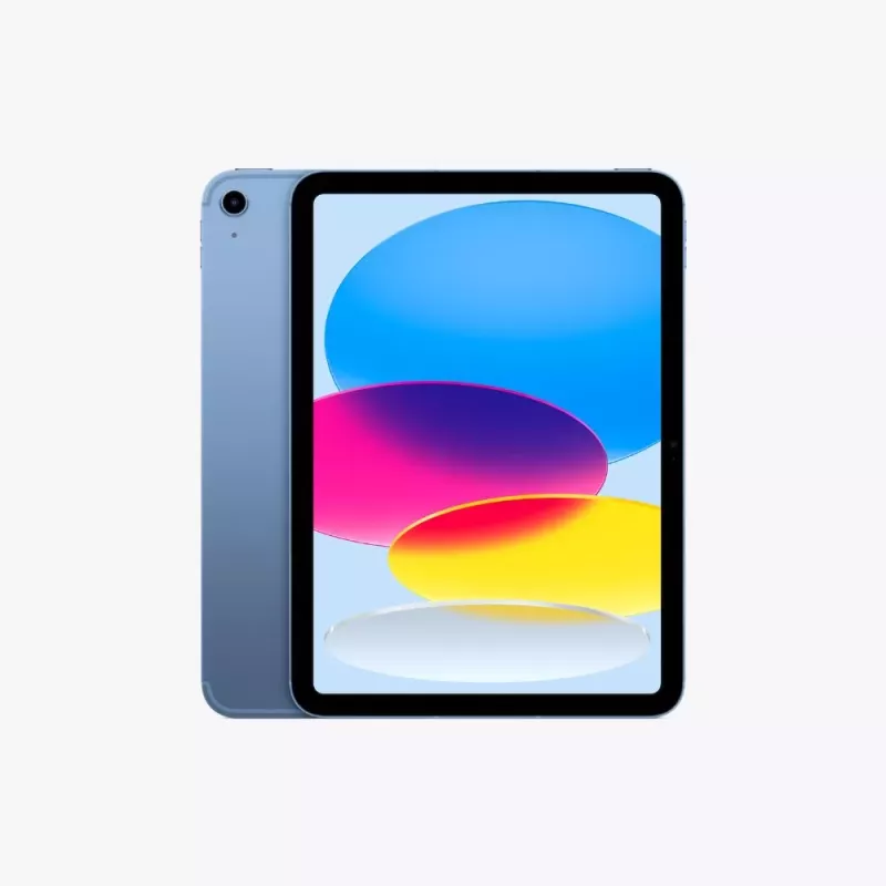 iPad Wi-Fi + Cellular 256GB BLUE APPLE