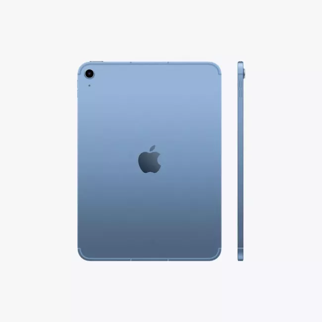 iPad Wi-Fi + Cellular 256GB BLUE APPLE