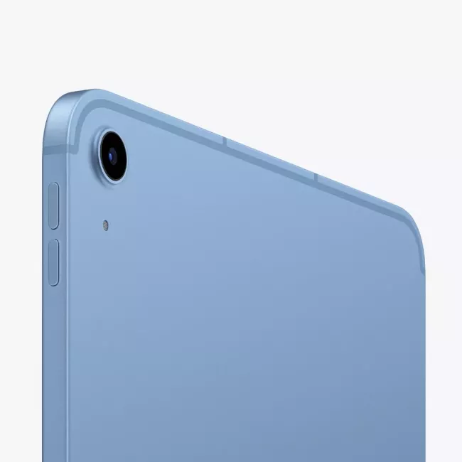 iPad Wi-Fi + Cellular 256GB BLUE APPLE