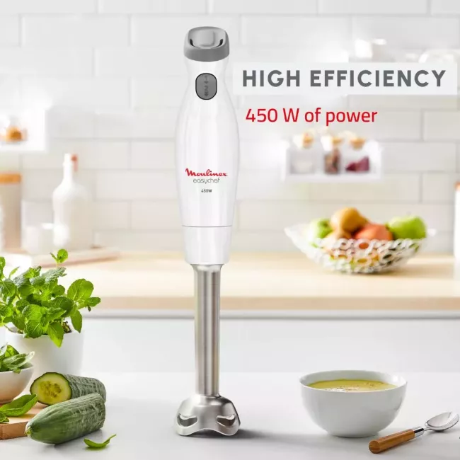 MIXEUR PLONGEANT EASY CHEF 2V PIED INOX 450W MOULINEX