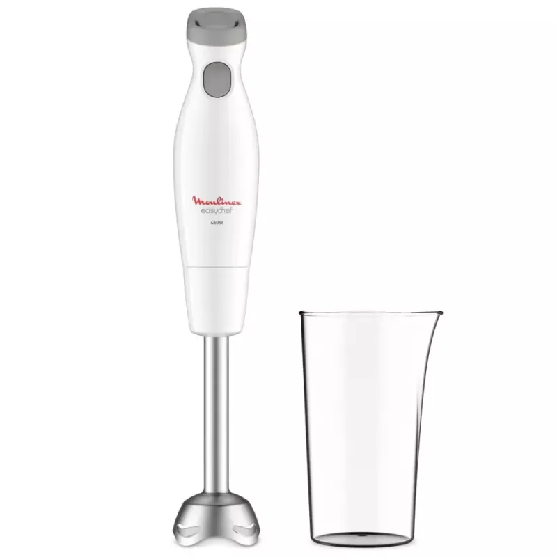 MIXEUR PLONGEANT EASY CHEF 2V PIED INOX 450W MOULINEX