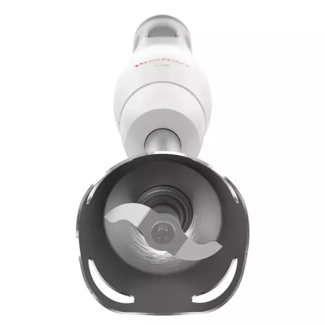 MIXEUR PLONGEANT EASY CHEF 2V PIED INOX 450W MOULINEX