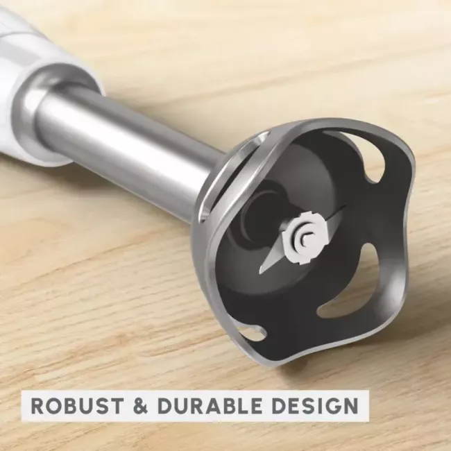 MIXEUR PLONGEANT EASY CHEF 2V PIED INOX 450W MOULINEX