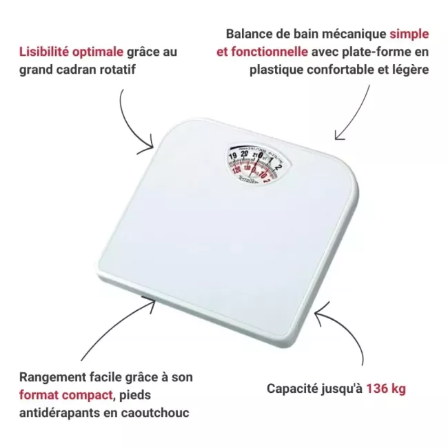 PESE PERSONNE MECANIQUE BLANC TERRAILLON
