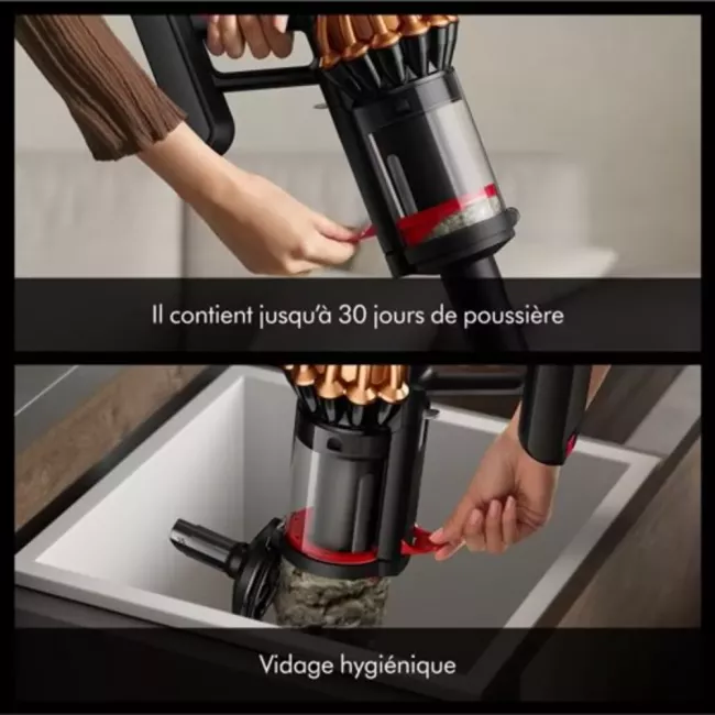 ASPIRATEUR LAVEUR V16 PISTON ANIMAL SUBMARINE DYSON