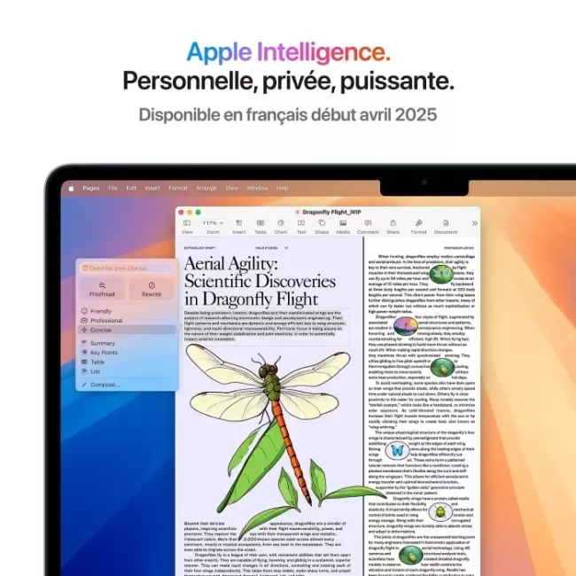 MACBOOK AIR M4 13'' 16GB 256GB STARLIGHT APPLE