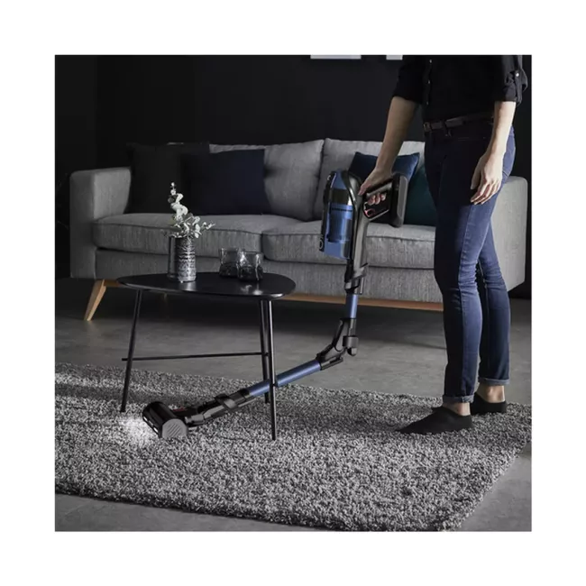 ASPIRATEUR BALAI SANS FIL FLEX X-PERT 7.60 KIT ANIMAL ROWENTA