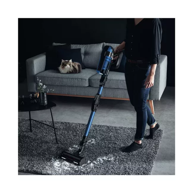 ASPIRATEUR BALAI SANS FIL FLEX X-PERT 7.60 KIT ANIMAL ROWENTA
