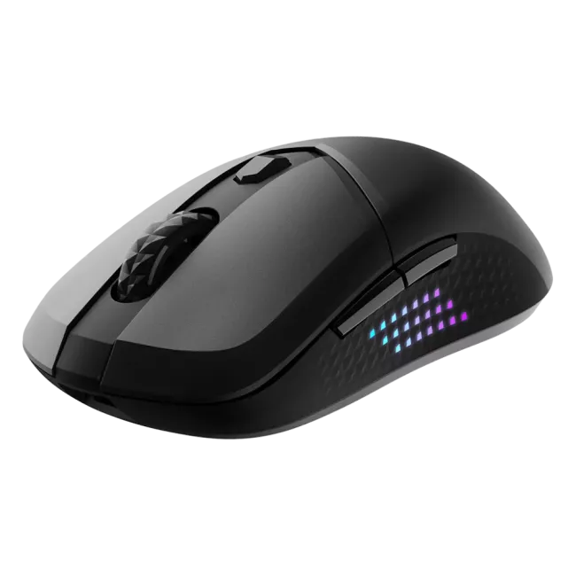 SOURIS GAMING SANS FIL BLUETOOTH VERSA 300 ELITE MSI